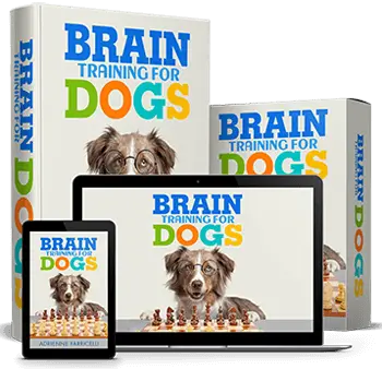 Brain Training For Dogs